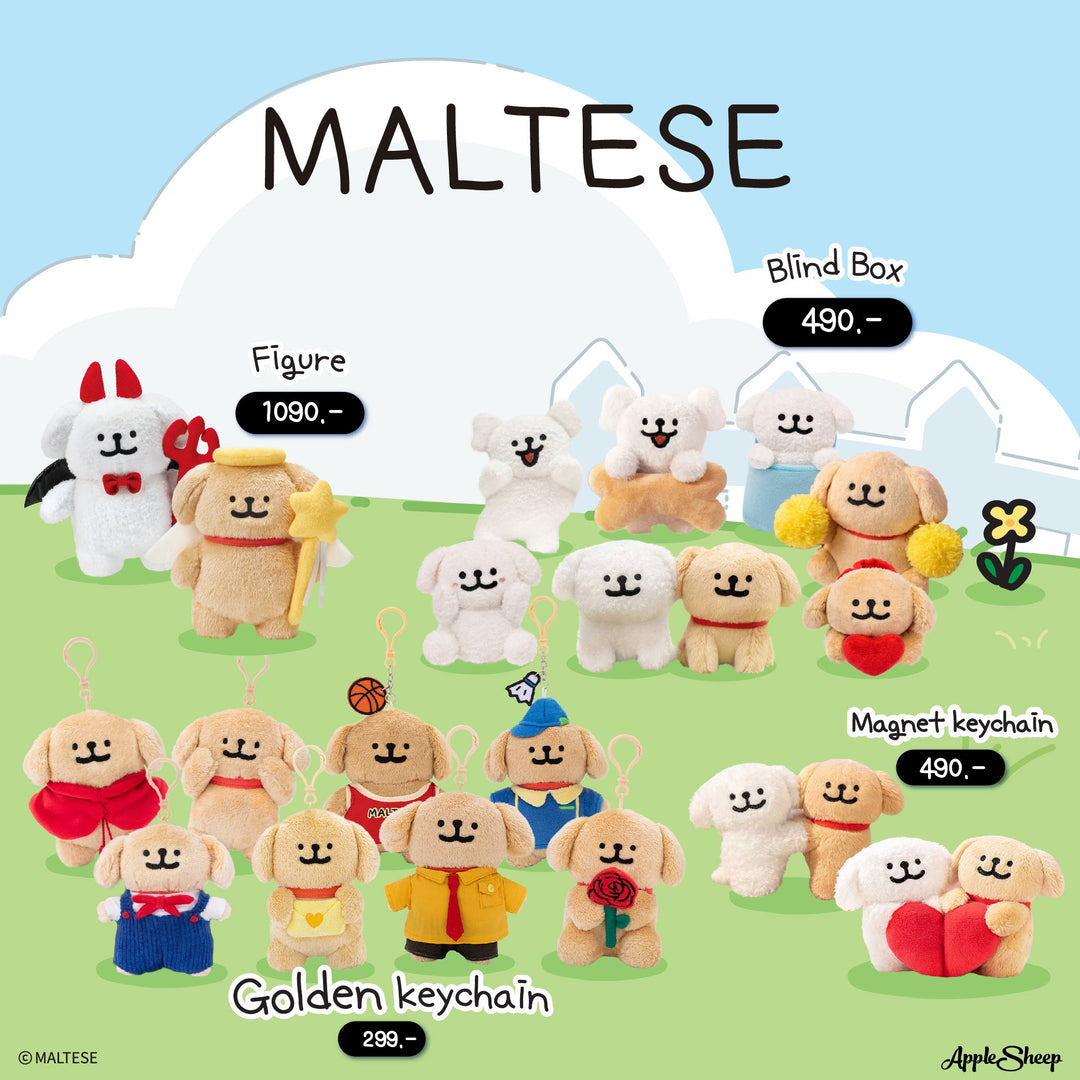 รวมของใช้น่ารักๆ Maltese & Golden Retriever ส่งตรงจากเกาหลี พร้อมมาเป็นเพื่อนคู่ใจ และไอเทมคู่รัก แบบไม่ต้องรอพรีออเดอร์ !!