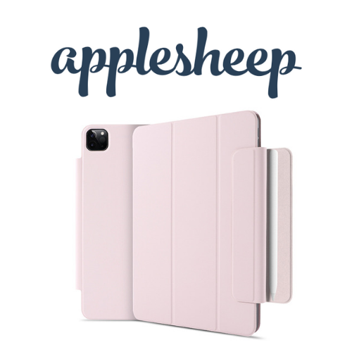 Case iPad gen 10