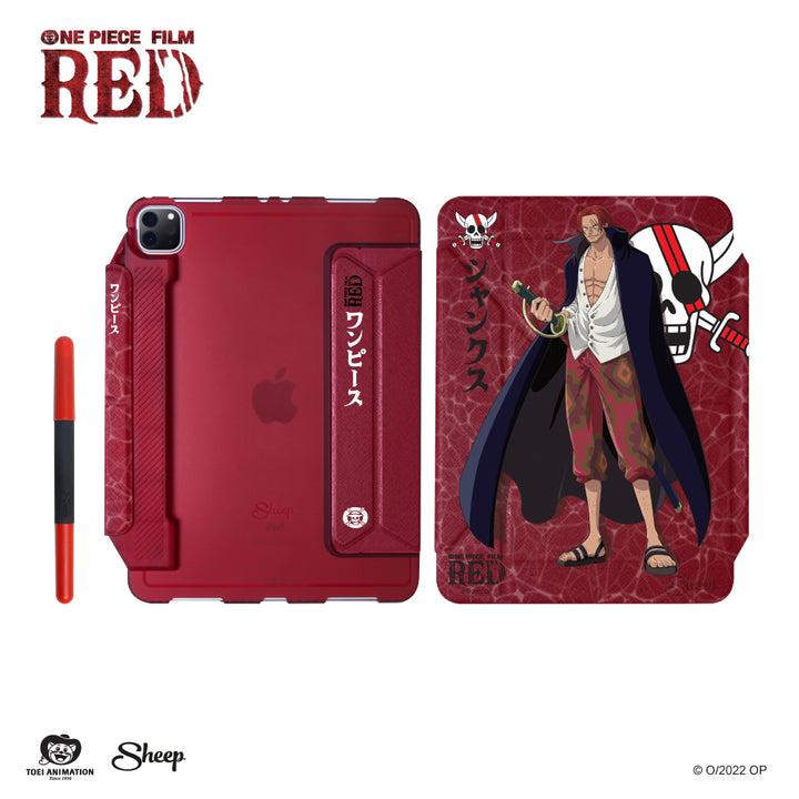 Case iPad One Piece