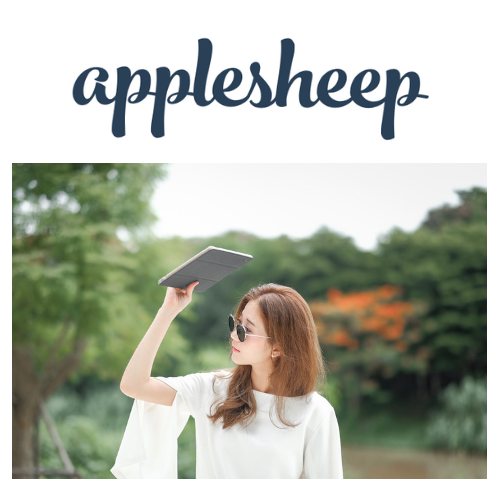 Case iPad 9.7 เบา
