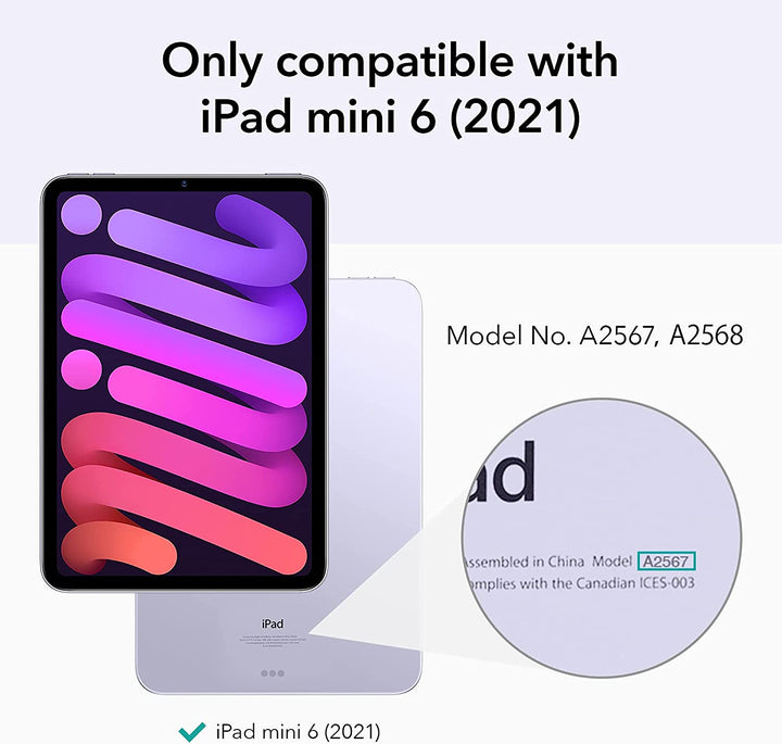 Case iPad Mini6