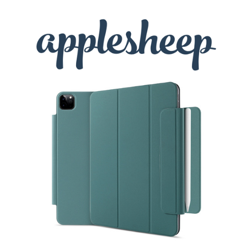 Case iPad gen 10