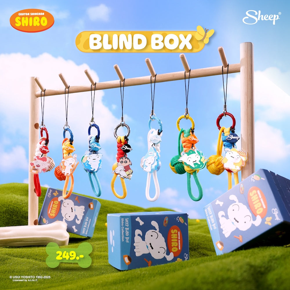 Charm Blind Box  กล่องสุ่มสายคล้องมือถือชิโร่ สายห้อยโทรศัพท์ ชิโร่
